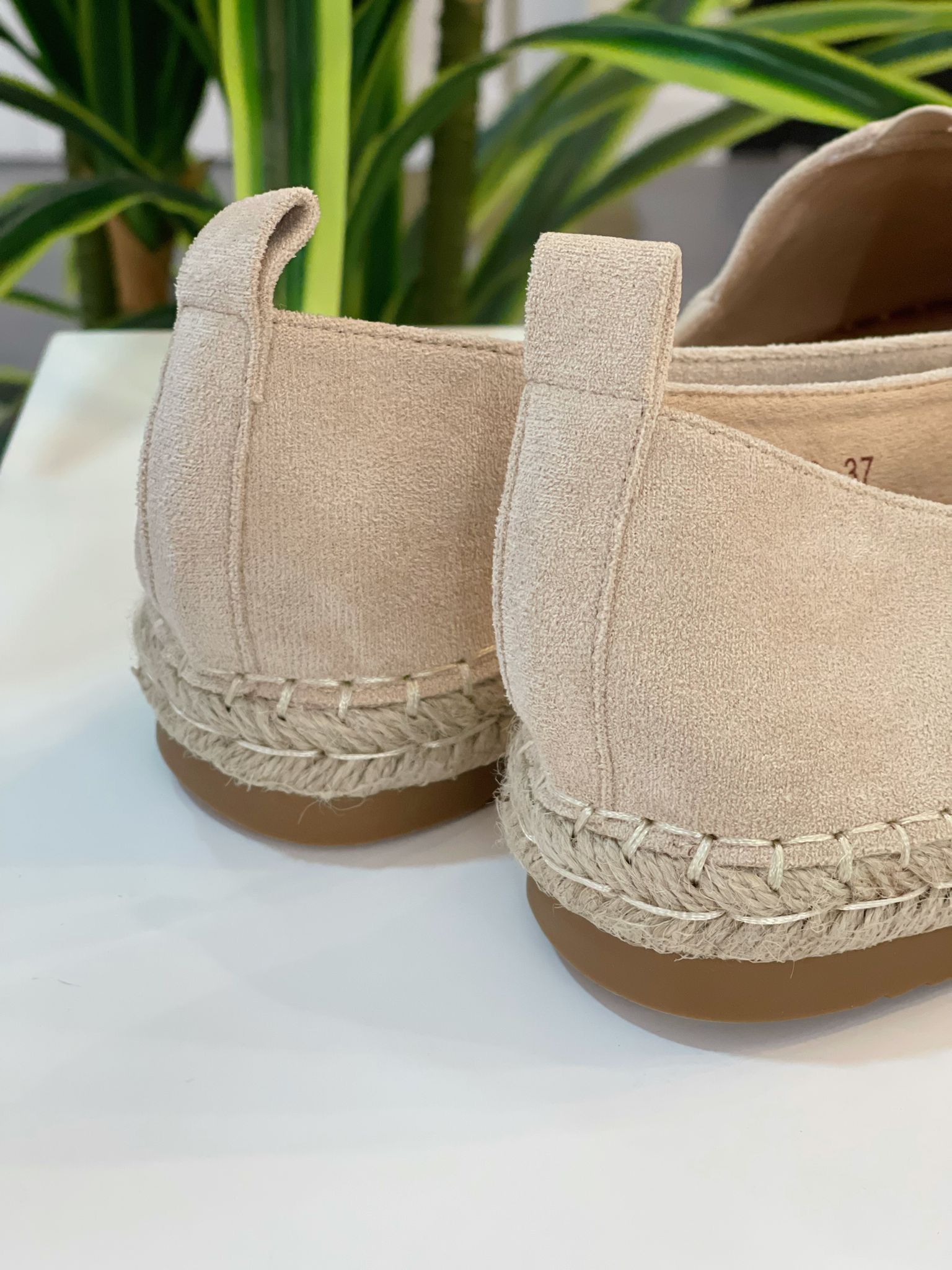 Alpargata Antelina - Beige - Imagen 3