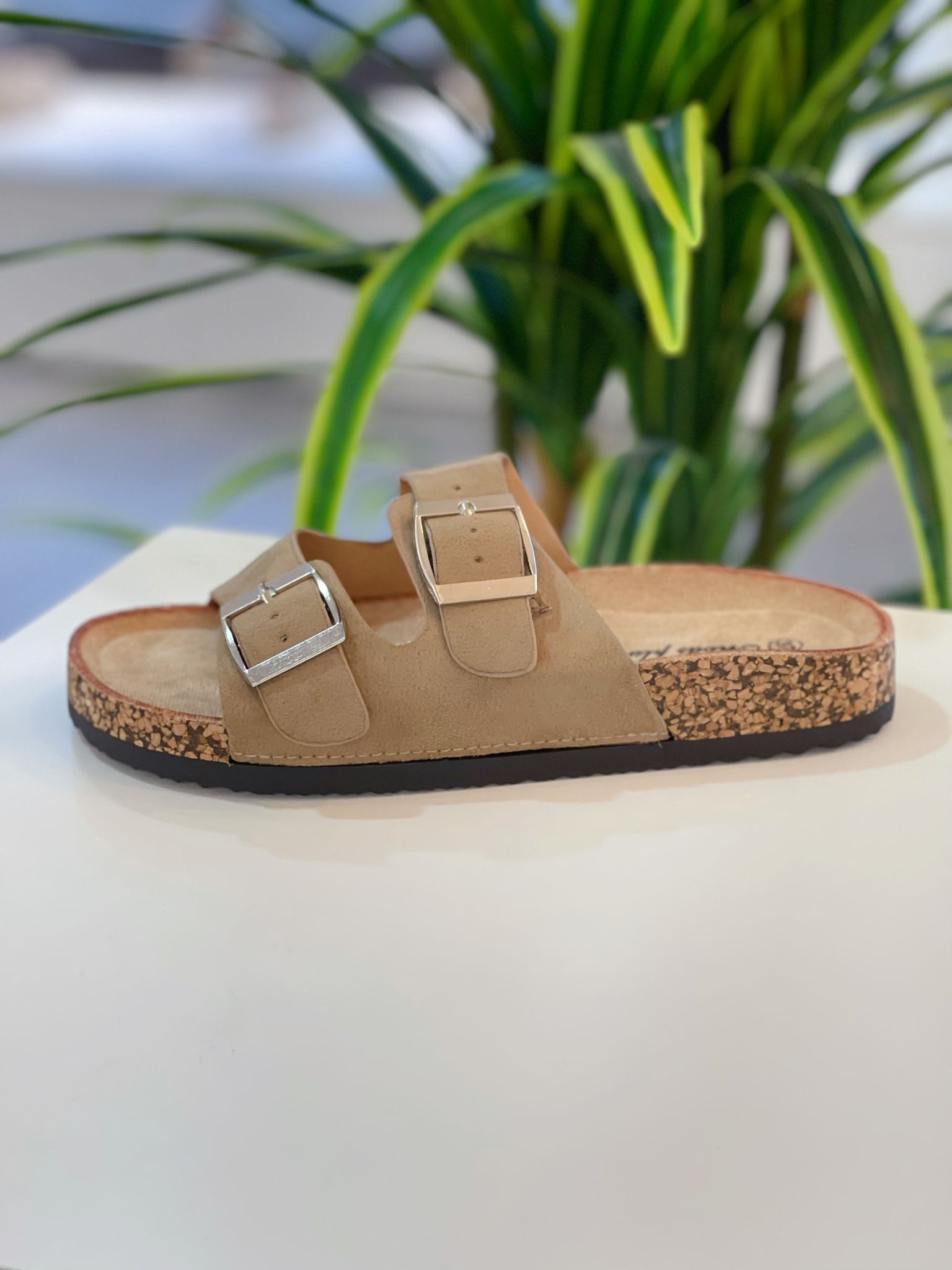 Sandalia Hebillas - Kakhi - Imagen 3
