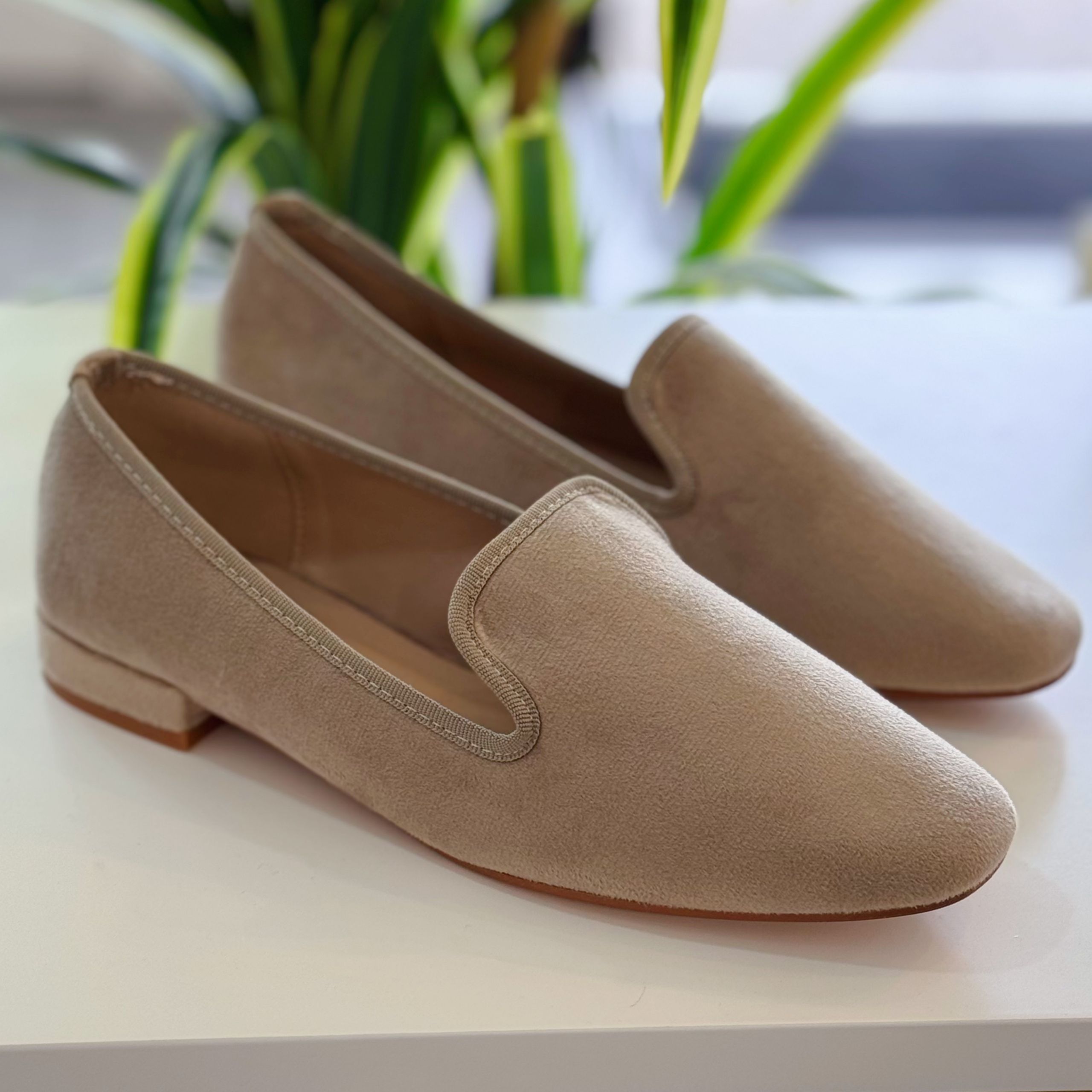 Zapato Plano Antelina - Beige