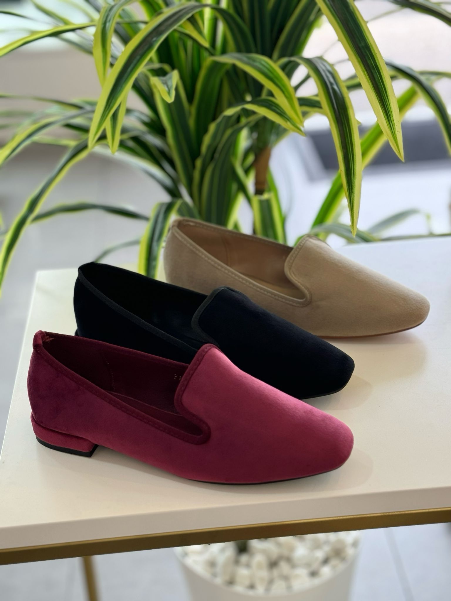 Zapato Plano Antelina - Beige - Imagen 5