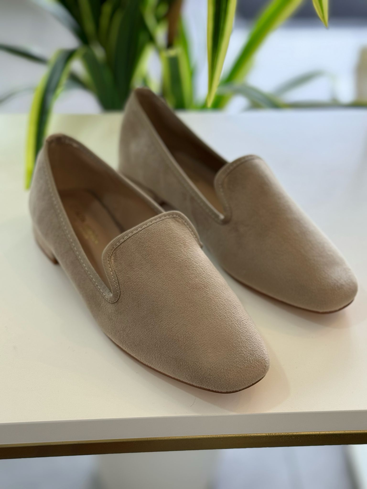 Zapato Plano Antelina - Beige - Imagen 2