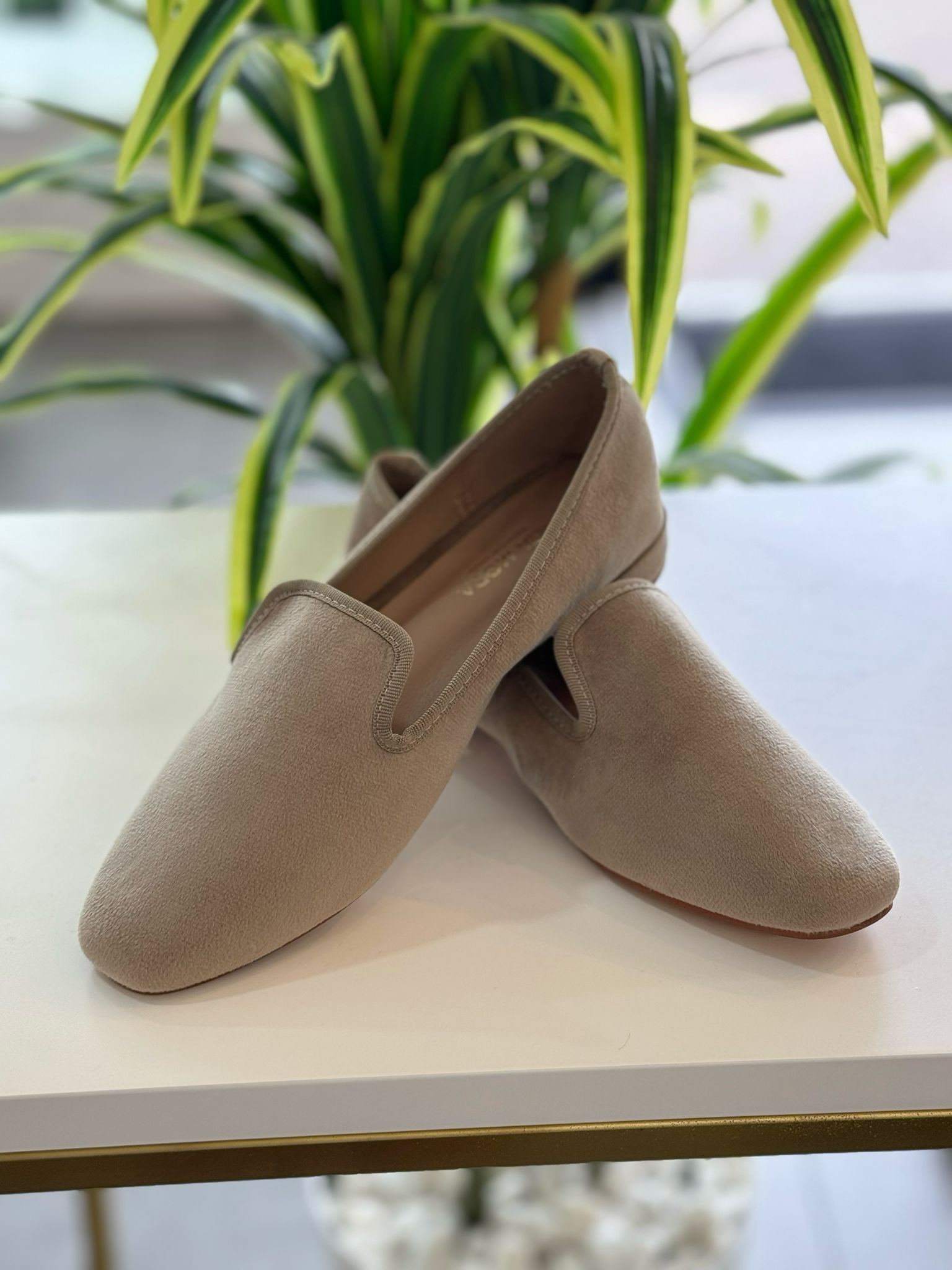 Zapato Plano Antelina - Beige - Imagen 4