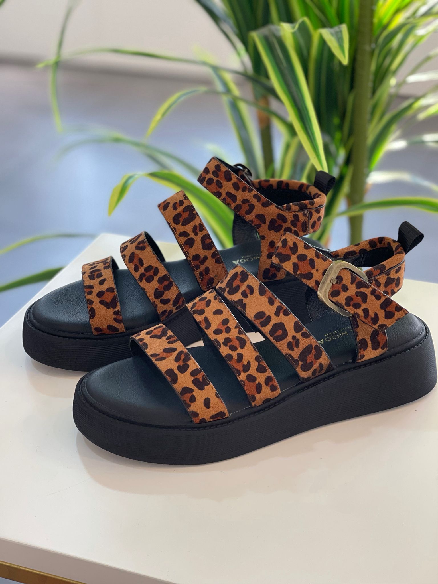 Sandalia Itálica - Leopardo