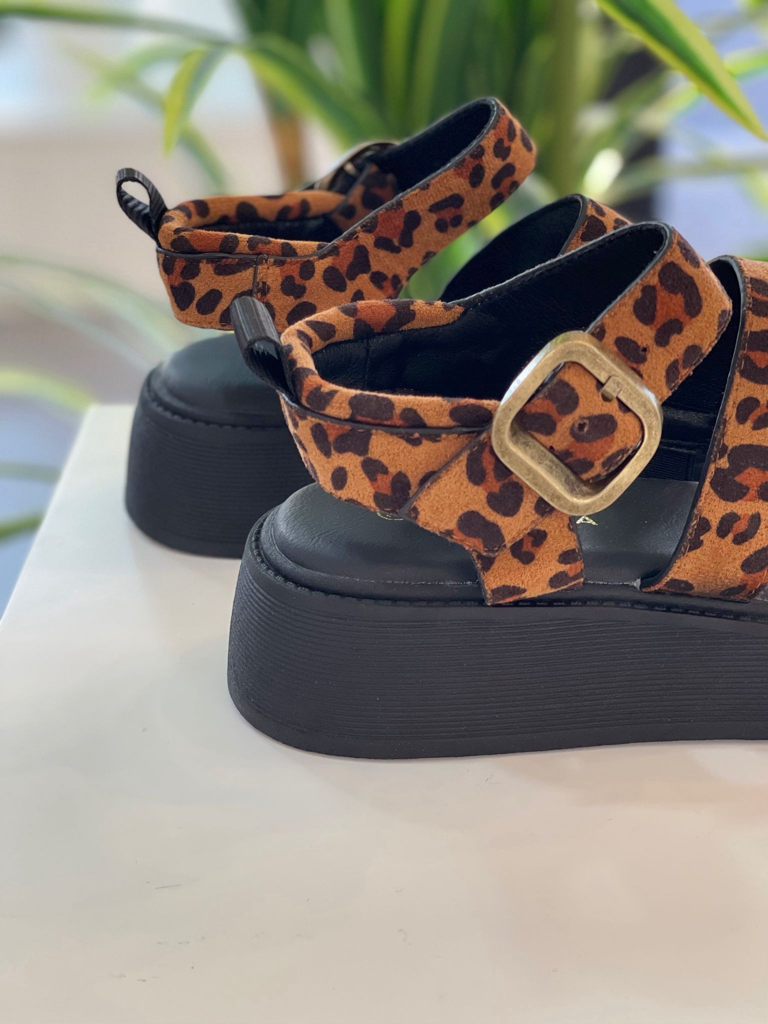 Sandalia Itálica - Leopardo - Imagen 2